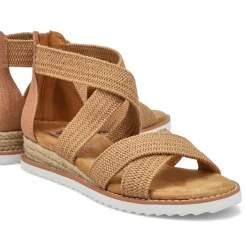 Desert Nights Women