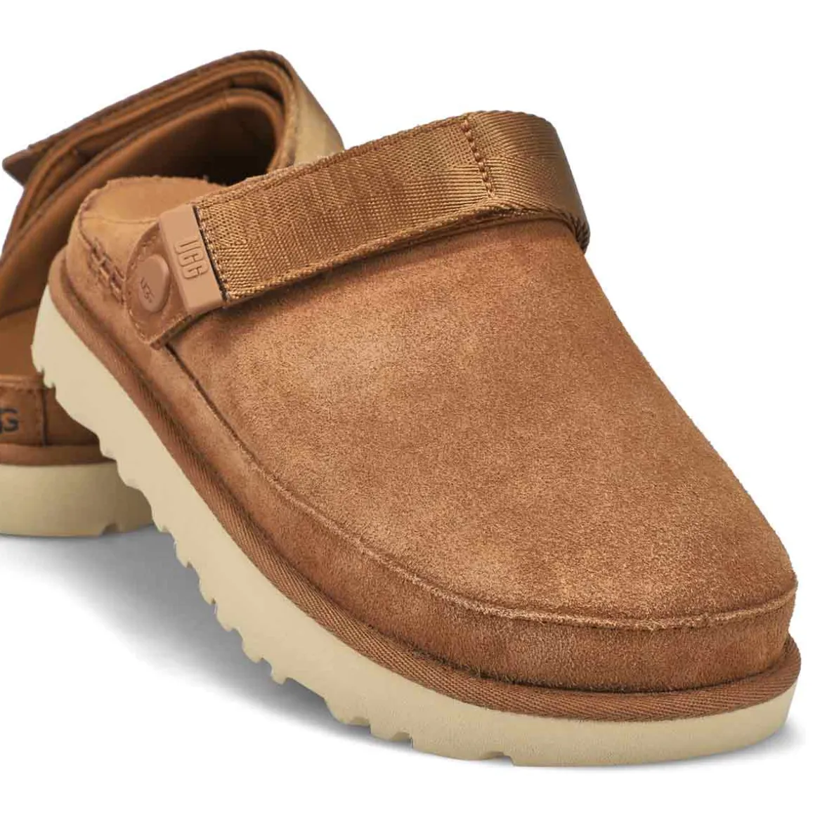 Goldenstar Meadow Accent Women