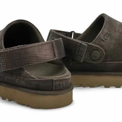 Goldenstar Meadow Accent Women