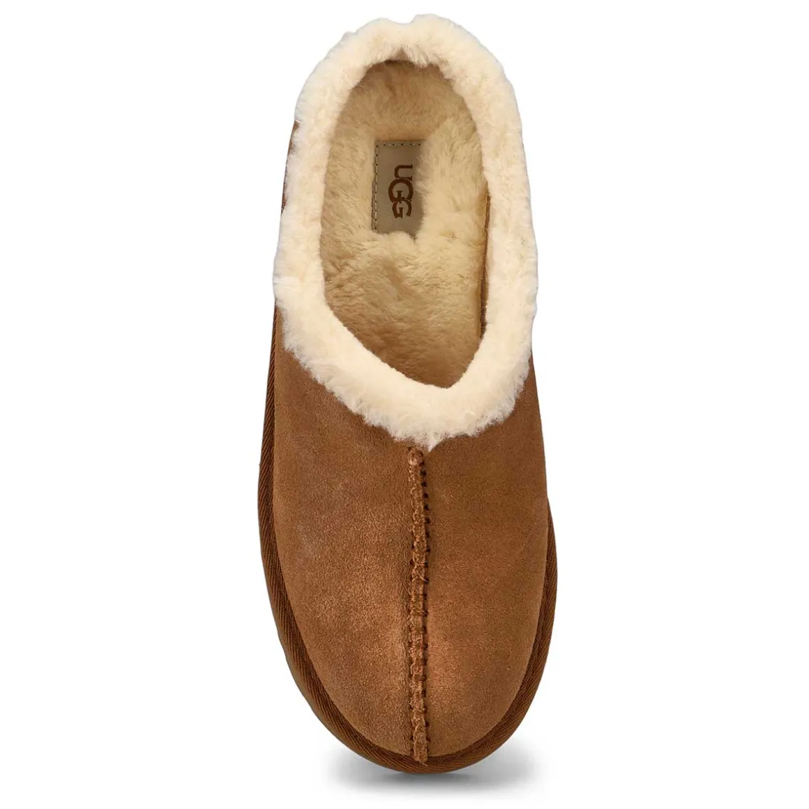 New Heights Cozy Women