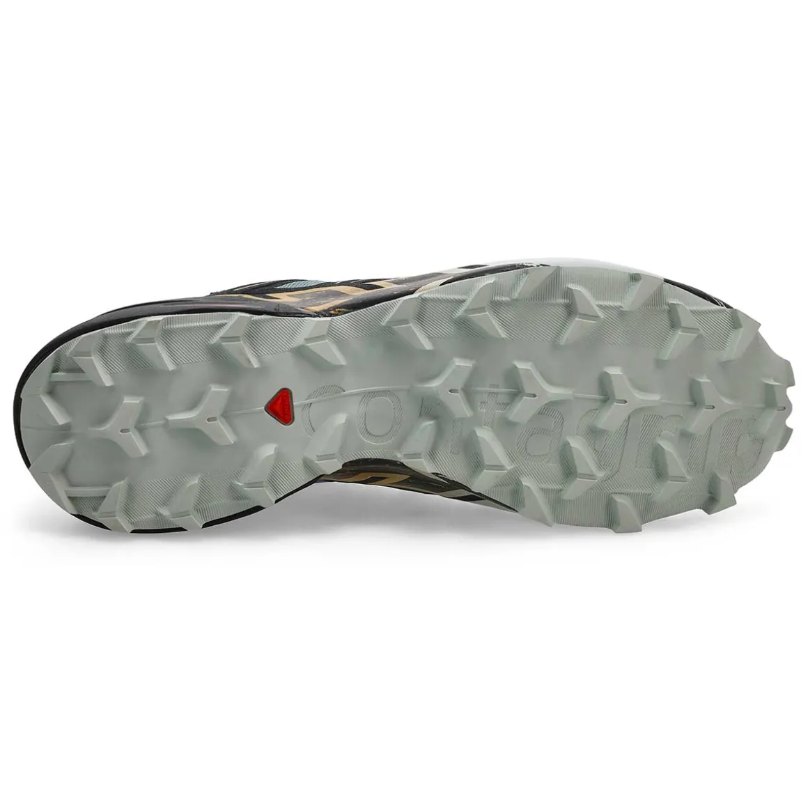 Speedcross 6 GTX Men